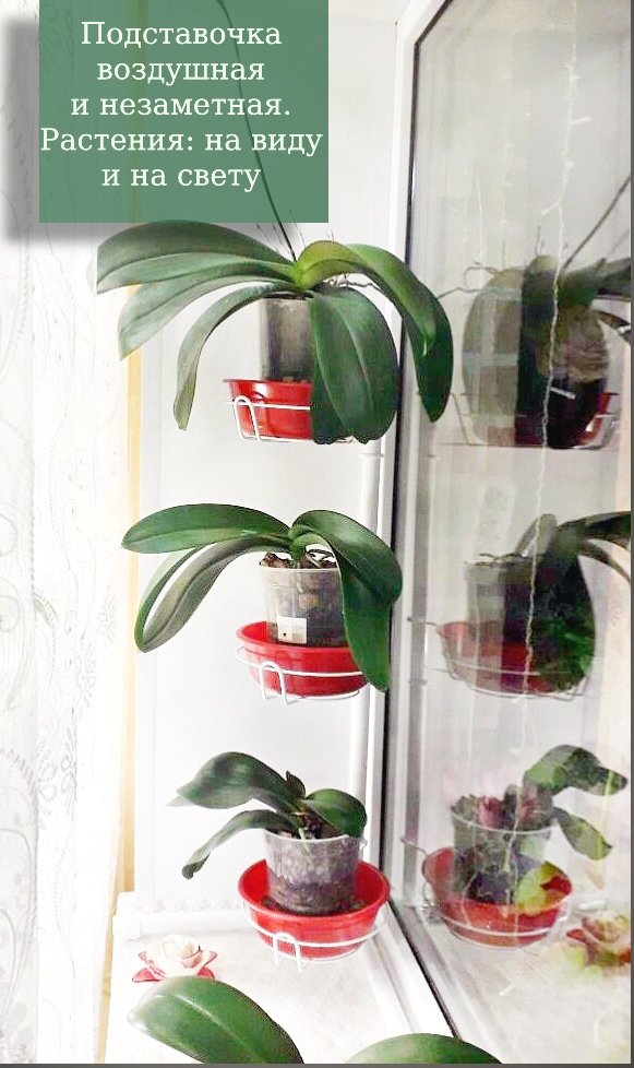 разборная подставка для цветов угловая на подоконник. Фото N20