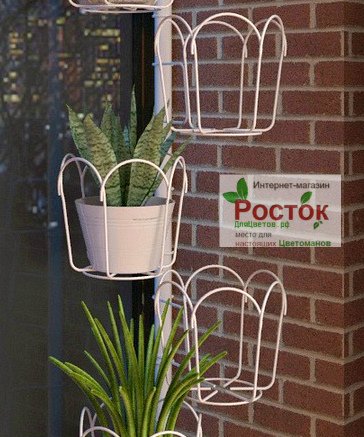 держатель для орхидей на распорку. Фото N2